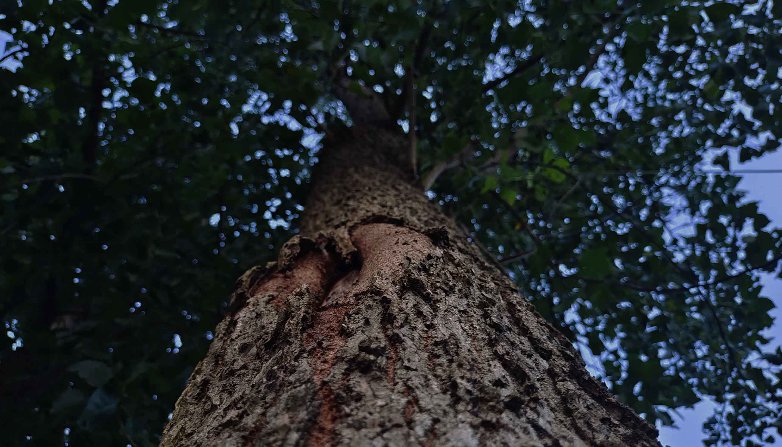 home-banner-background