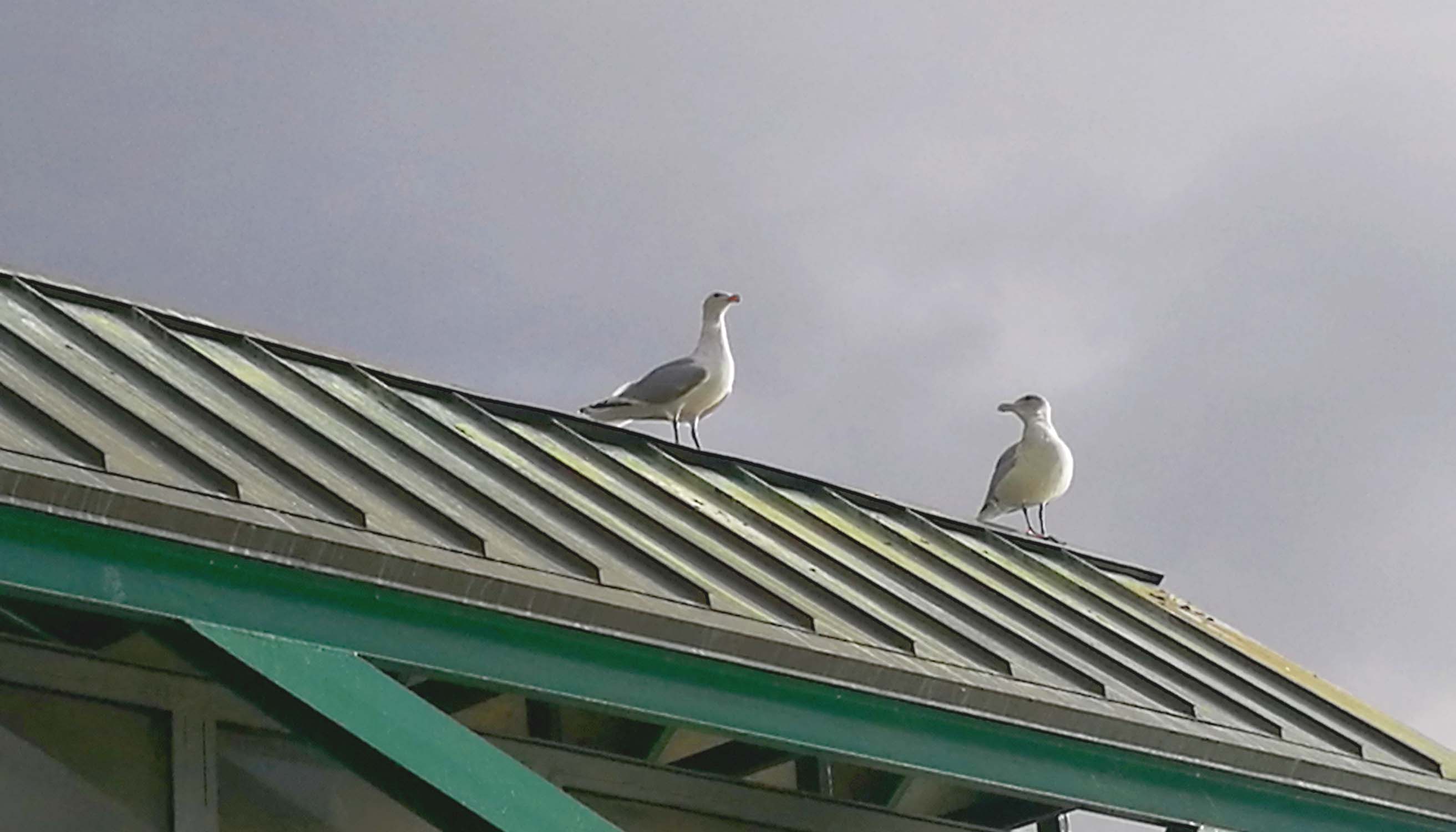 home-banner-background